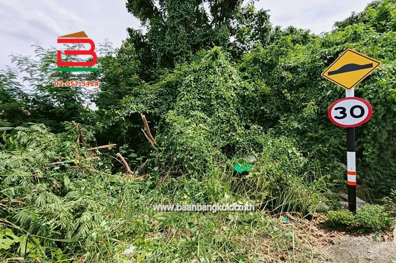 ที่ดินเปล่า ซ.คลองสาม 6/5 เนื้อที่ 60 ตรว. ถนนพหลโยธิน ต.คลองสาม อ.คลองหลวง จ.ปทุมธานี 3