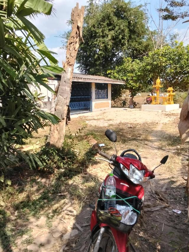 บ้านเดี่ยวพร้อมที่ดิน 3