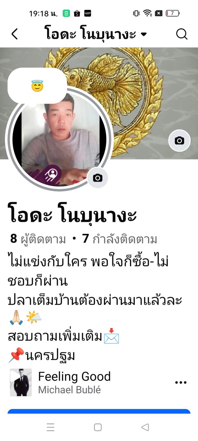 ปลากัดสวยงามราคาส่ง เริ่มต้นที่ 20