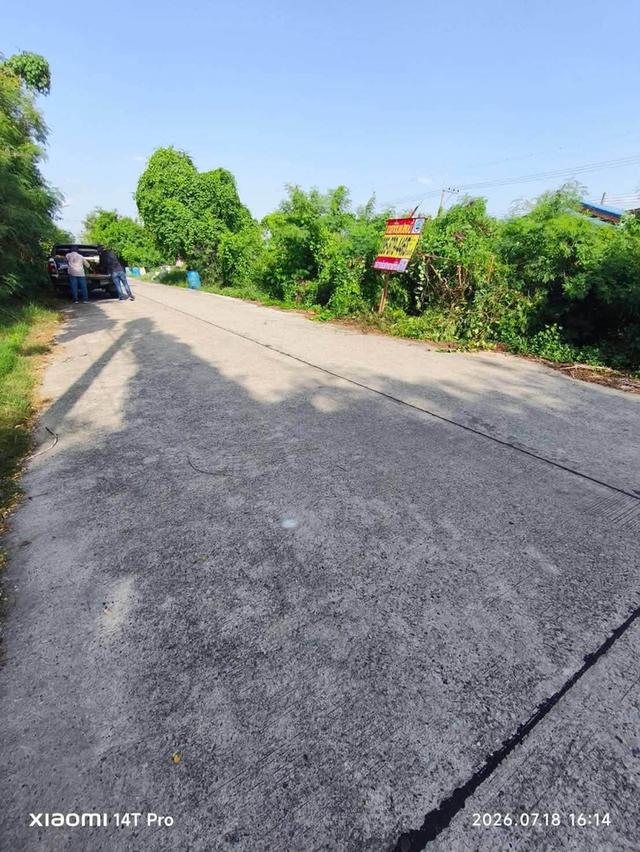 ขายด่วนที่ดินคลองหก 30 ตรว ติดถนนสาธารณะ ซ.คลองหกตะวันออก 44 คลองหลวง ปทุมธานี 1