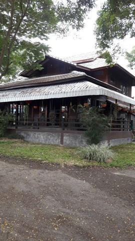 🏡 บ้านไม้ริมน้ำปิง พร้อมที่ดินผืนใหญ่ บรรยากาศธรรมชาติ 13