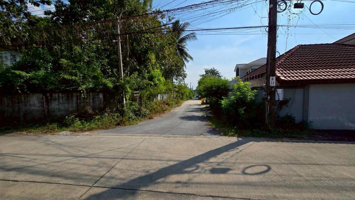 ขายด่วนที่ดินพุทธมณฑลสาย 3 เนื้อที่ 57 ตรว ติดถนนลาดยาง ซ.19 แยก 16  เขตตลิ่งชัน กทม. 6