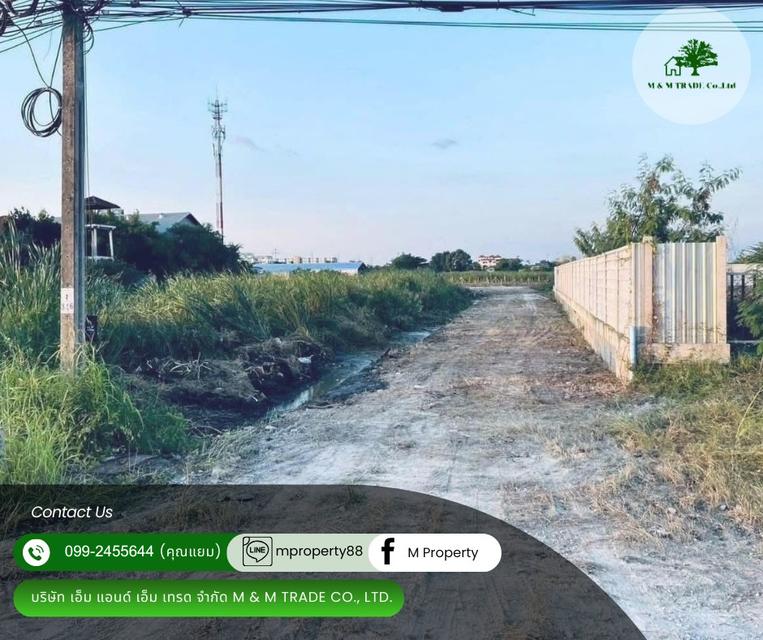 ขายที่ดิน ลาดกระบัง ทำเลดีมาก 2
