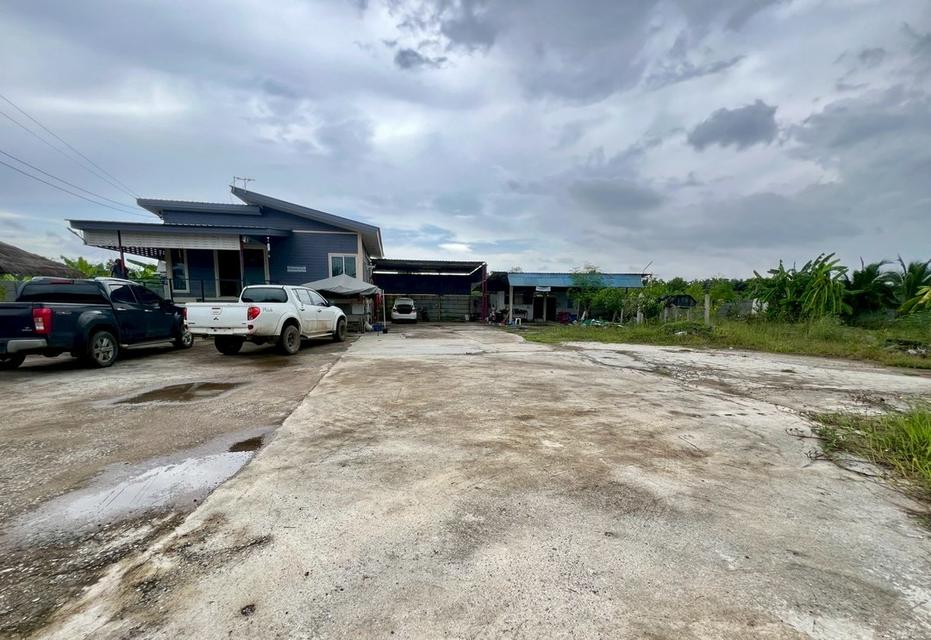 ที่ดินพร้อมบ้าน คลอง 8หนองเสือ ปทุมธานี  3