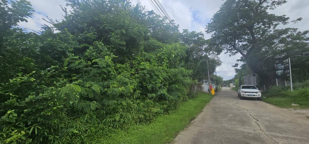 ขายที่ดิน 200 ตร.ว. หมู่บ้านเอื้อสุข พัฒนาการ 58 ซอย 6 ใกล้ถนนศรีนครินทร์ 5