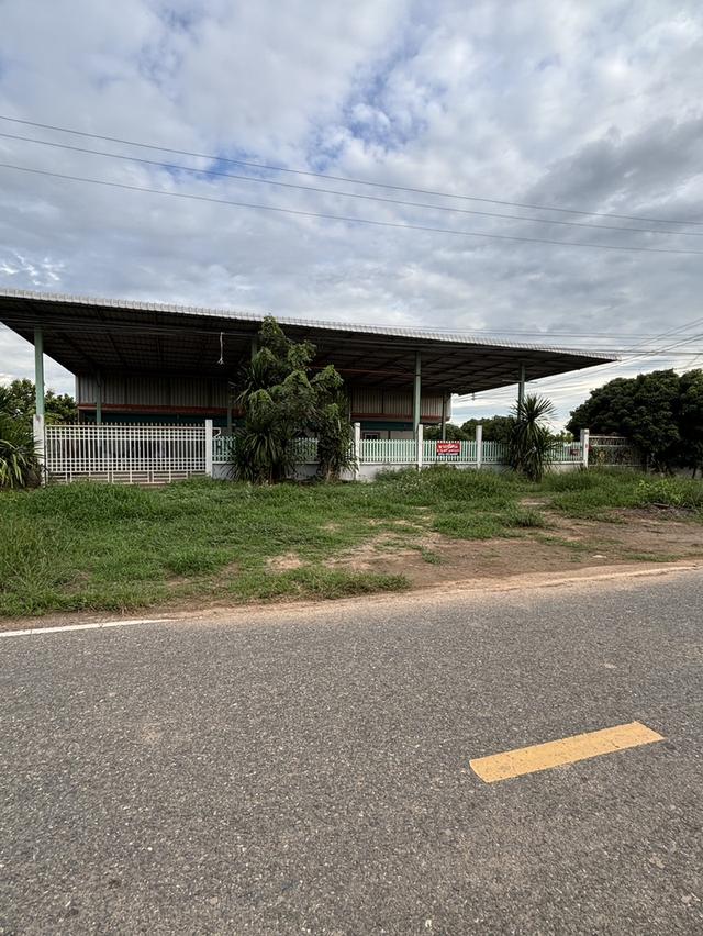 โรงงานพร้อมสวนที่ดินส้มโอ 2