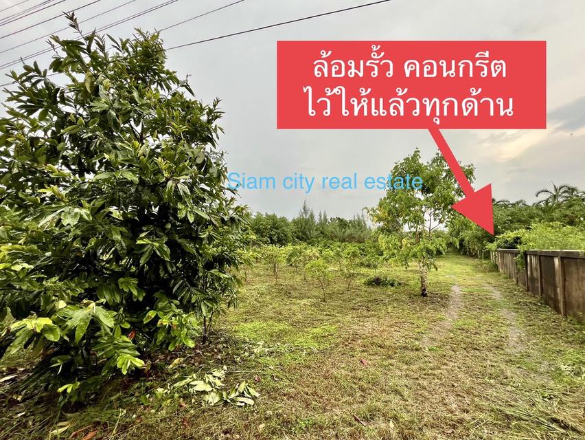 ทีดินพร้อมสิ่งปลูกสร้าง เป็นสำนักงาน โกดังสินค้า บ้านพักคนงาน และสวนผลไม้ 20