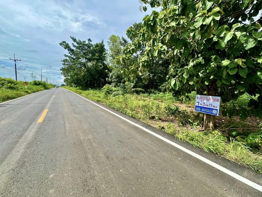 ขายที่ดิน ศรีมหาโพธิ ปราจีนบุรี 2