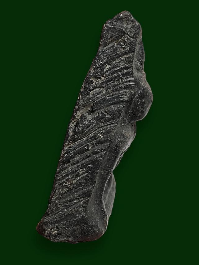 พระนางพญา 3