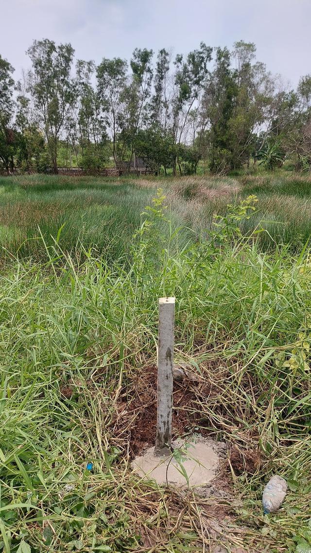 ขายที่ดิน ห่างคลองสี่80ม. ทางเข้าถนนคอนกรีต  ใก้ลทางด่วน motor way , ใก้ลสำนักงานขนส่งปทุม  ซอยคลองสี่ตะวันตก 23 ตำบลคลองสี่ อำเภอ คลองหลวง ปทุมธานี 3