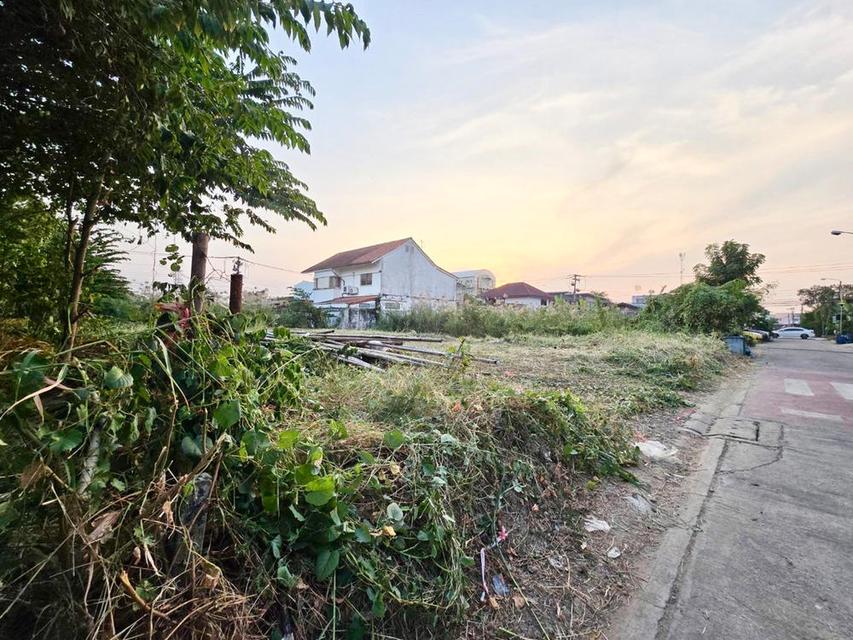 ที่ดินถมแล้ว 100 ตร.วา ตรงข้าม รร.อนุบาล ยุวมิตร เพชรเกษม 77 แยก 4-7 ถนนสวัสดิการ 2 ซอย 10 หนองแขม 5