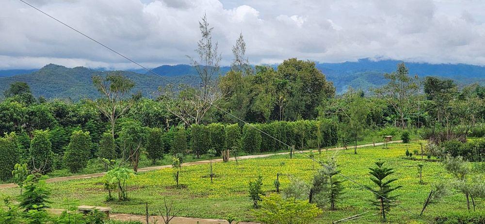 ขายที่ดินพร้อมบ้านพักตากอากาศ วิวเขาล้อมรอบ เงียบสงบ ตรงข้ามวัดท่าตอน จ.เชียงใหม่  15