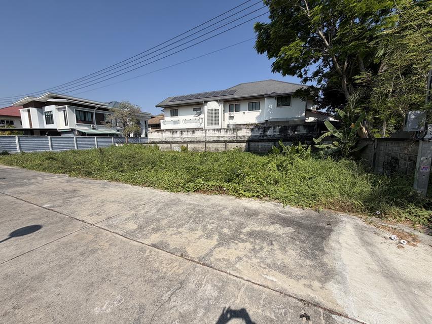 ขายที่ดินเปล่า แปลงสวย ตลิ่งชัน ทำเลทอง ใกล้ราชพฤกษ์ เขตตลิ่งชัน กรุงเทพมหานคร 2