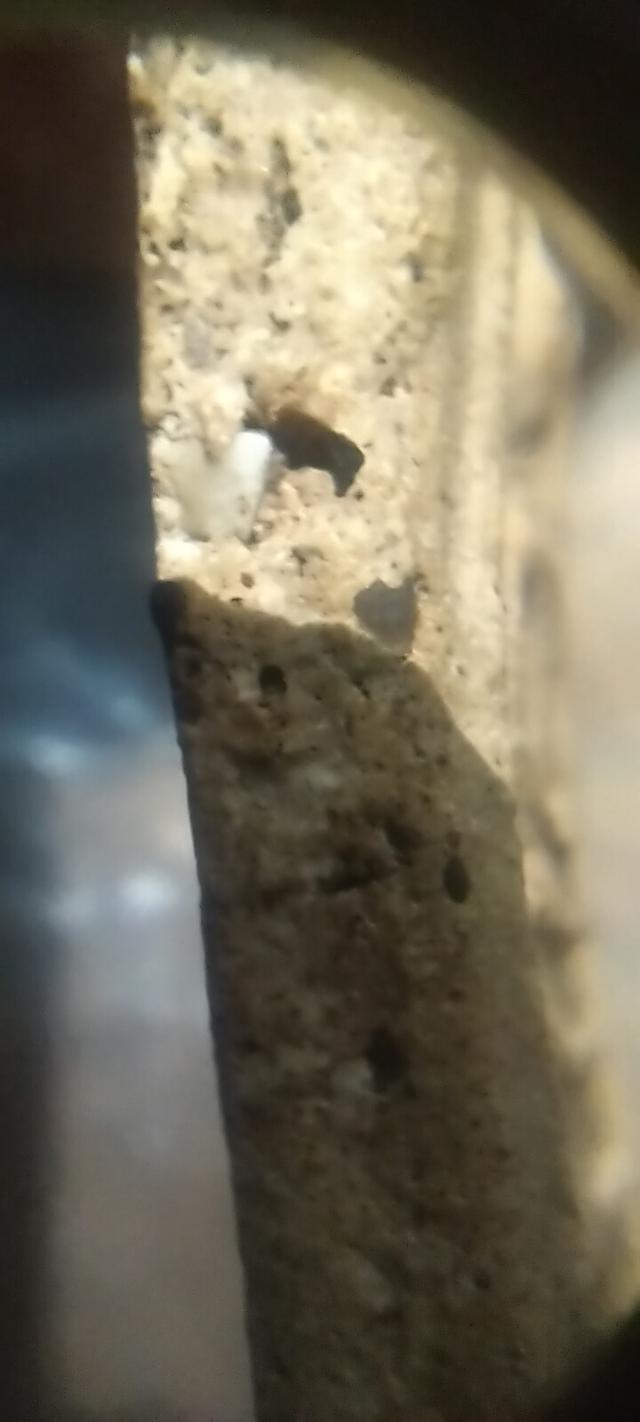 สมเด็จวัดระฆังพิมพ์ใหญ่ 7