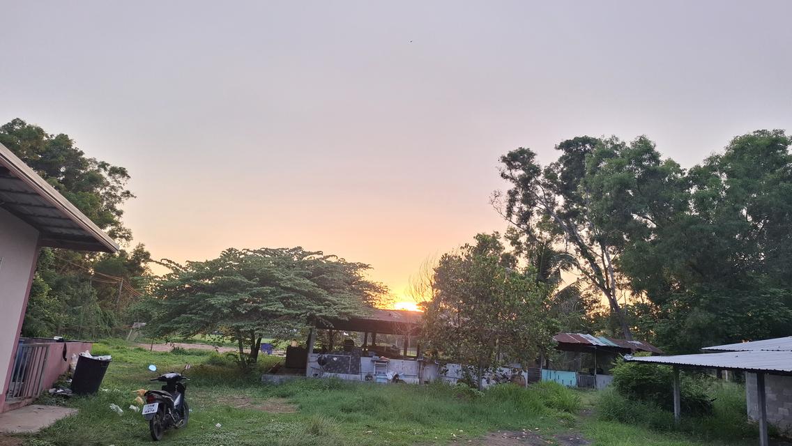 บ้านสองหลังพร้อมที่ดินสองไร่บรรยากศร่มรื่น 8