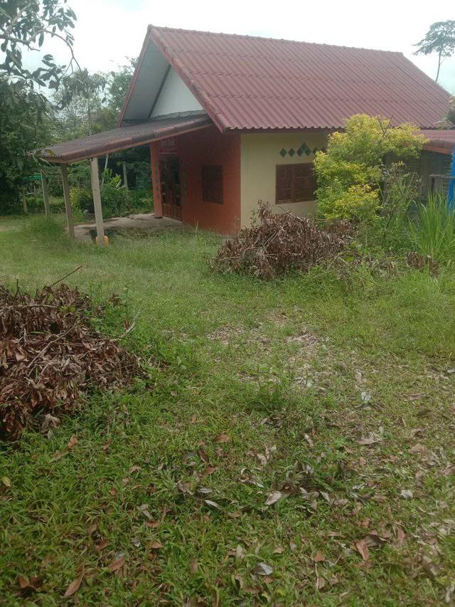 ที่ดินพร้อมบ้าน 4ไร่2งาน 3.2 ล้าน ห่างจากถนน 304 2กิโลเมตร ทางไปคลองสอง 9