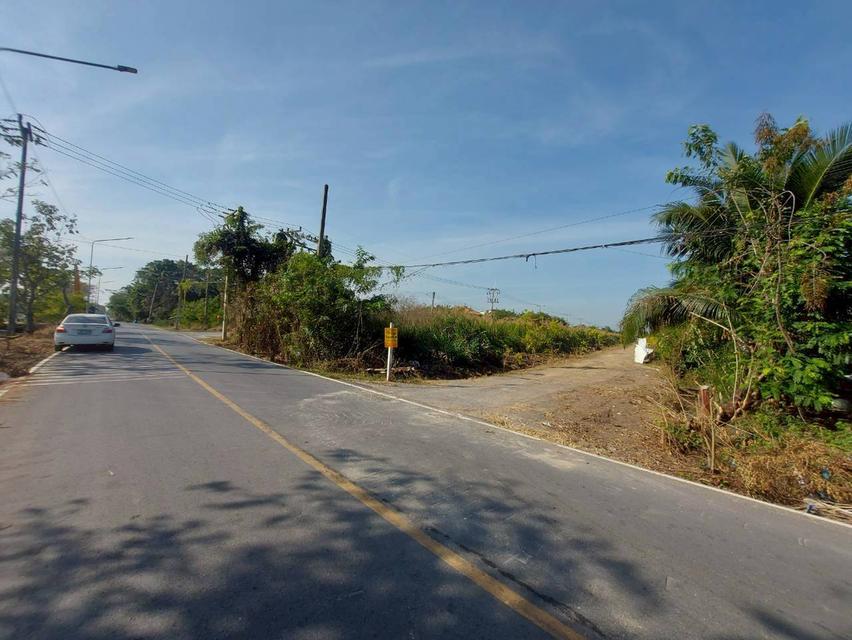 ขายที่ดินเปล่าคลอง10 หนองเสือ ใกล้วัดแสงมณี 4