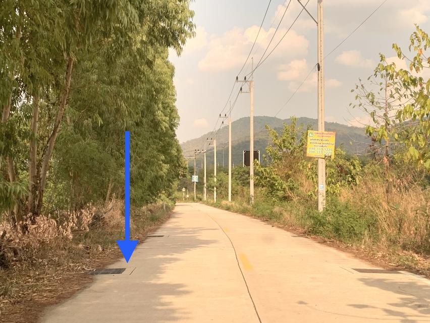 ขายที่ดินใกล้ถนนข้าวหลาม แบ่งขาย 6ไร่ ติดทาง 2ด้าน ตรงข้ามโรงเรียนสารสาสน์วิเทศบูรพา ที่ดินเข้า-ออกได้หลายทาง 2