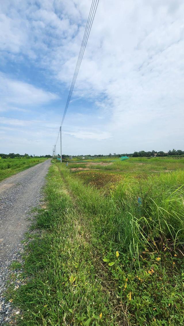 ขายด่วน ร้อนเงินร้อนใจ ขายถูก ที่สวยทำเลทอง คลอง8 5