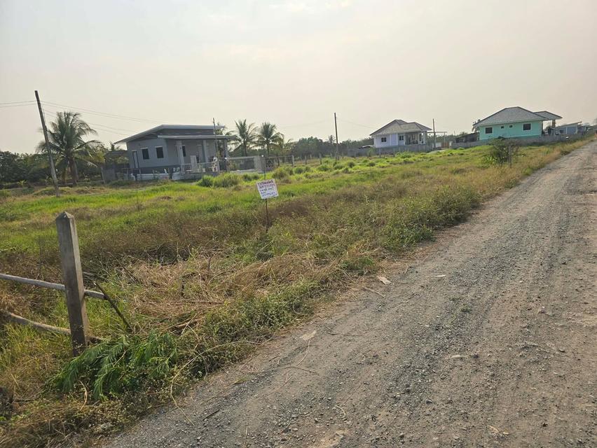 ขายที่ดินต.สันทรายอ.สารภีจ.เชียงใหม่ 100ตรว. 5