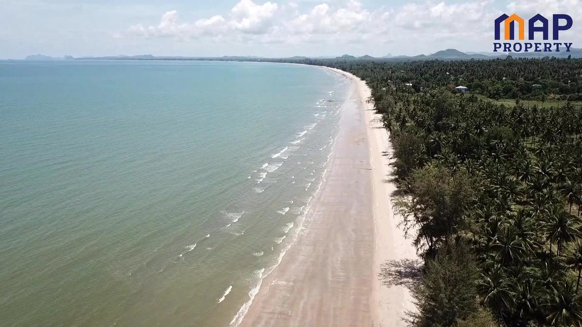 โอกาสทองสำหรับนักลงทุน ที่ดินแปลงใหญ่ 65 ไร่ติดทะเลบางสะพาน 11