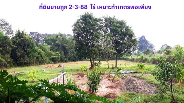 ขายที่ดิน 2-3-88 ไร่ พร้อมบ้านชั้นเดียว 1 หลัง ไว้เป็นเกษตรพอเพียง ใกล้ถนนหลักสุวรรณศรใหม่ เพียง 5 นาที ต.โนนห้อม อ.เมือ