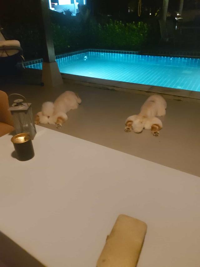 mini product image 2