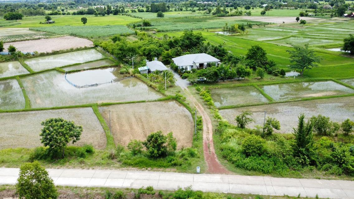 ขายบ้านสวนพร้อมที่ดินขนาดใหญ่ จ.อุดรธานี (H1SS-421) 5