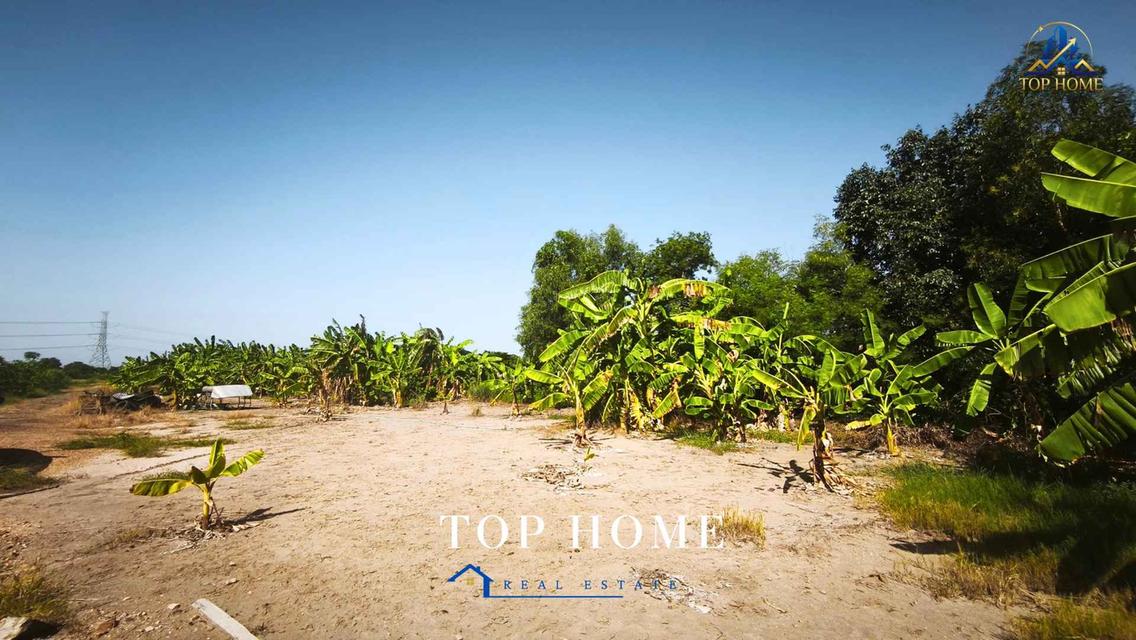 📍ขายที่ดินจัดสรรแปลงสวย ถมแล้ว 150 ตร.ว ตำบลบางเตย อำเภอสามโคก จังหวัดปทุมธานี📍 4