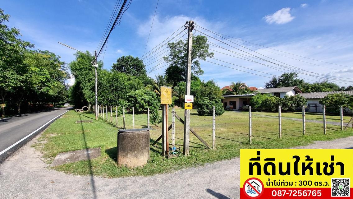 ปล่อยเช่าที่ดินทำเลทอง 300 ตร.ว. เมืองเชียงใหม่
