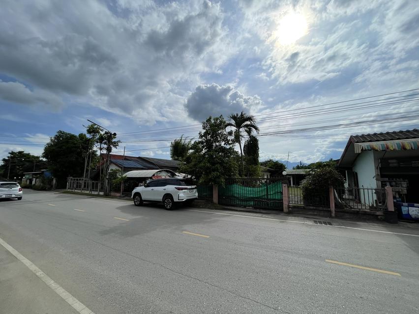 ขายที่ดินย่านแม่โจ้ 5