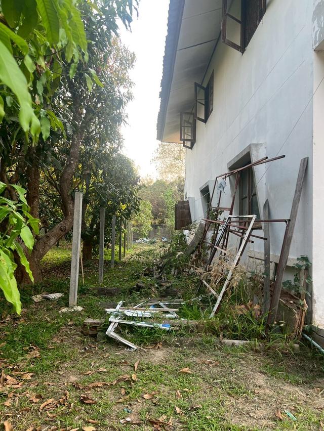 ขายบ้านพร้อมที่ดิน ในพื้นที่ 425 ตรว. จ.ลำพูน 16