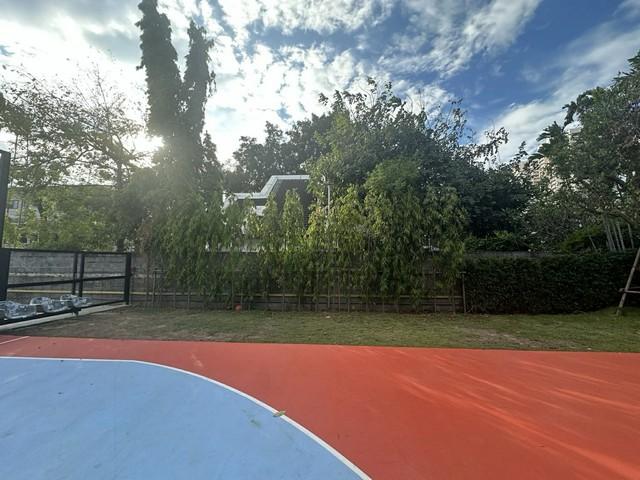 P625 ให้เช่า ขาย ที่ดิน ซอยเอกมัย 22 ขนาด 172 ตารางวา ถนนสุขุมวิท คลองตันเหนือ เขตวัฒนา เหมาะซื้อสร้างบ้าน 2