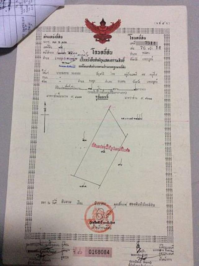 รูป ขายที่ดินทำเลเหมาะปลูกสวนปาล์มหรือพืชอื่นๆ มีโฉนดถูกต้อง ชนแ 1