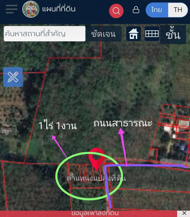 ที่ดิน เขาหลัก 3