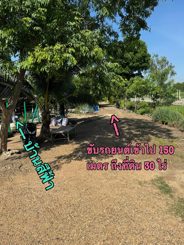 ขายที่ดินเปล่า 30 ไร่ นครนายก