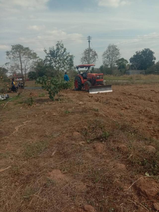 ที่ดินเปล่า มีหลายไร่ แบ่งขาย 1 ไร่ 6 แสน บ้านศิลางาม  วังน้ำเขียว รูปที่ 14