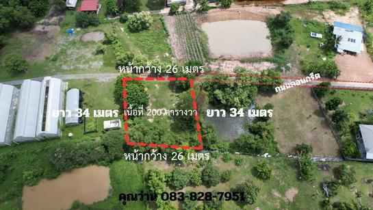 (ขาย)ที่ดิน 200 ตารางวา มีโฉนด ถมแล้วเต็มพื้นที่ หน้าโรงพยาบาลปากพลี ขาย 7 แสนบาท 4