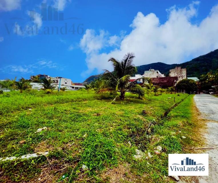 ที่ดินผืนใหญ่ ใจกลางป่าตอง 5