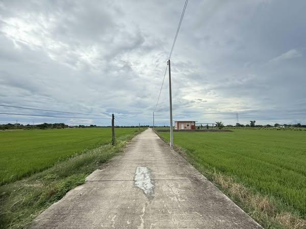 ขายที่ดินบางเตยแปดริ้ว 3 ไร่ ติดถนนคอนกรีต ใกล้ถนนวงแหวนเลี่ยงเมือง365-4กม. เมืองฉะเชิงเทรา 5