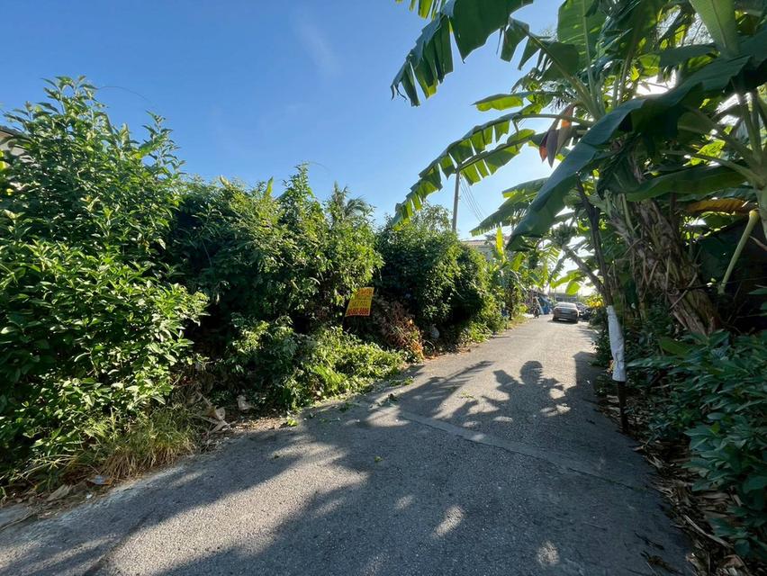 ขายที่ดินเปล่า ชุมชนเคหะวัดไพร่ฟ้า ถนนราชพฤกษ์ 4