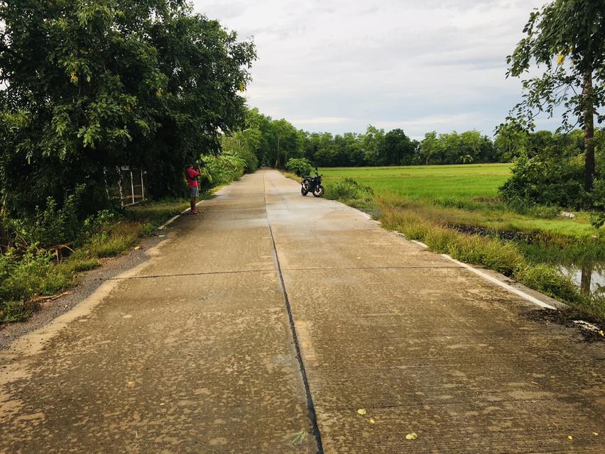 ขายที่ดิน19ไร่ ลาดหลุมแก้ว ปทุมธานี 3