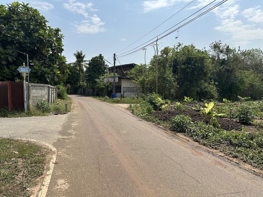 ที่ดินใกล้วัดงิ้วงาม 1 ไร่ 3 งาน อ.เมือง จ.อุตรดิตถ์ 4