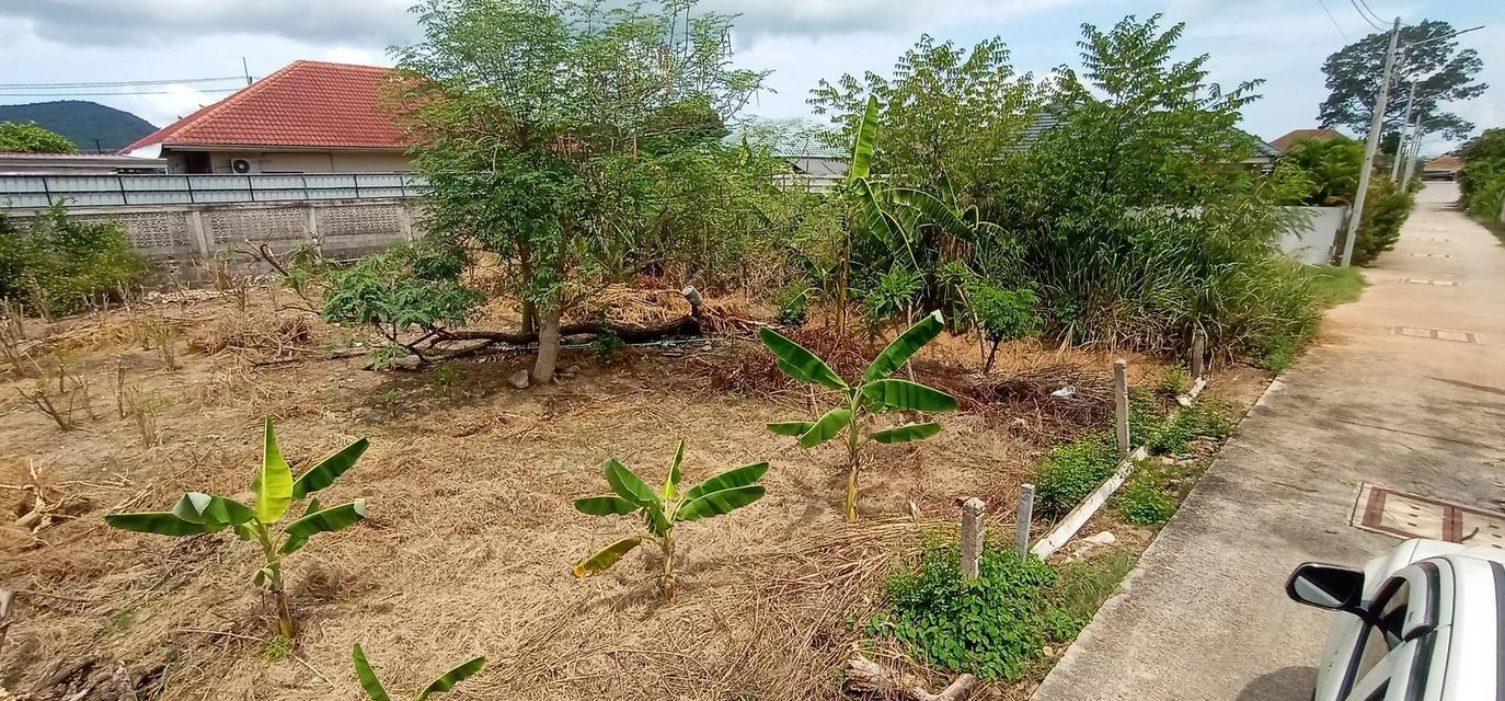 Land for Sale Bangsaray near the sea 94 SQW. 6