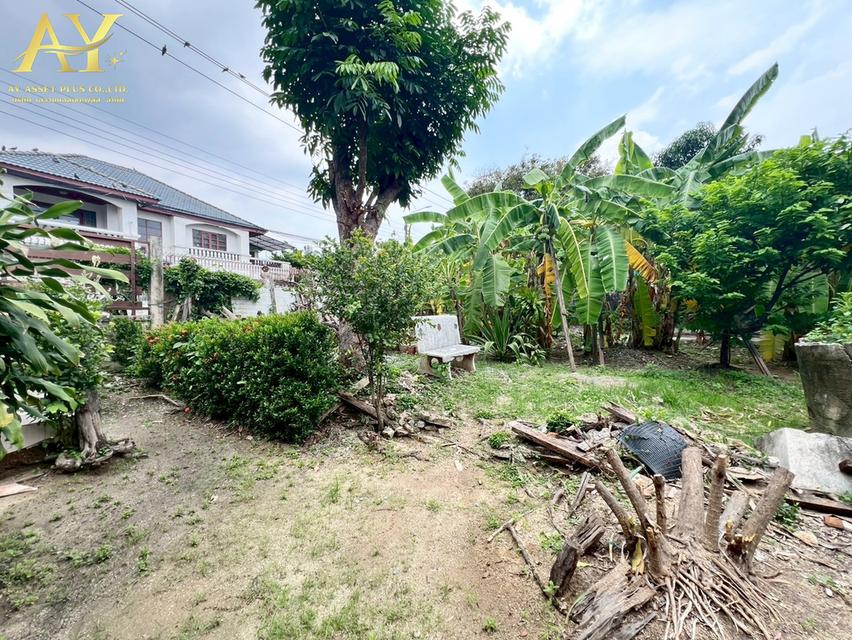 ขายที่ดิน ใกล้ถนนกรุงเทพ-นนท์ นนทบุรี เนื้อที่202ตรว.ขายเพียง 45,000/ตรว 9