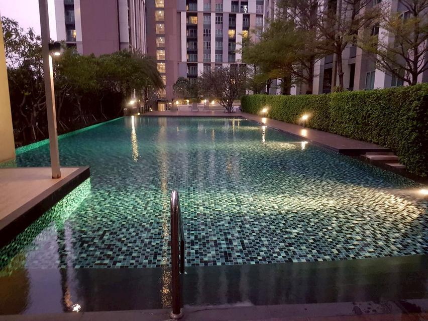 🔥 ขายคอนโด The Key แจ้งวัฒนะ | ราคาดี ทำเลแรง 🔥 🏢 16