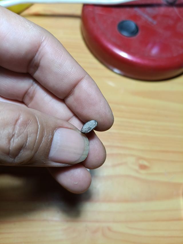 พระชัยวัฒน์สุจิตโตปี2495 รูปที่ 4