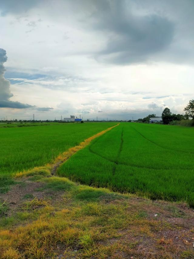 ที่ดินเหมาะสร้างโรงงาน 92 ไร่ พื้นที่สีม่วง อยู่ อ.ไทรน้อย จังหวัดนนทบุรี 4