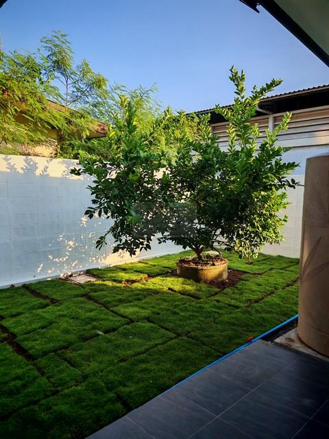 ใให้เช่าบ้านเดี่ยว 2 ชั้น 58 ตรว. 3 ห้องนอน ซอยลาดพร้าว 74 ปรับปรุงใหม่ทั้งหลัง ใกล้ MRT ลาดพร้าว 71 เพียง 500 เมตร 2