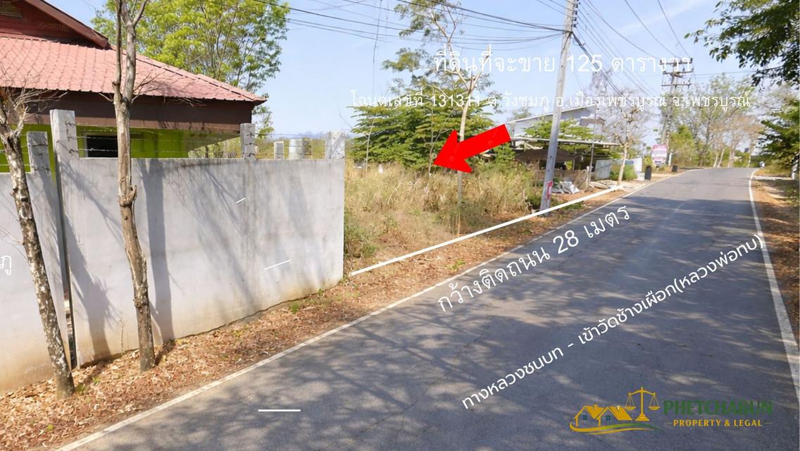 ที่ดินเงิน125 ตารางวา ติด อบต.วังชมภู อ.เมือง จ.เพชรบูรณ์ 10